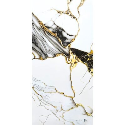 PORCELANATO 60X120 SIGNATURE BLACK GOLDEN SCG79067 1.44 M2