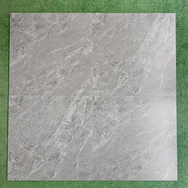 PORCELANATO RAT 60X60cm – 1.44m2 – MATE - Imagen 5
