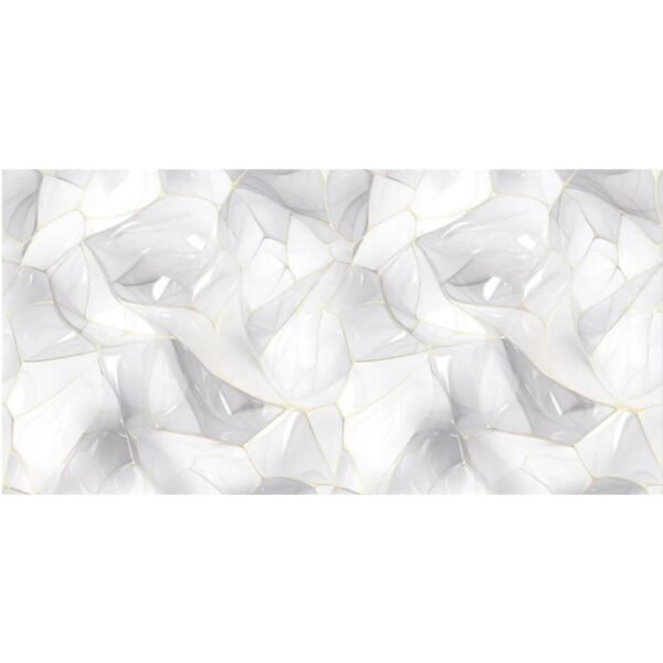 MAYOLICA 30X60