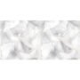MAYOLICA 30X60