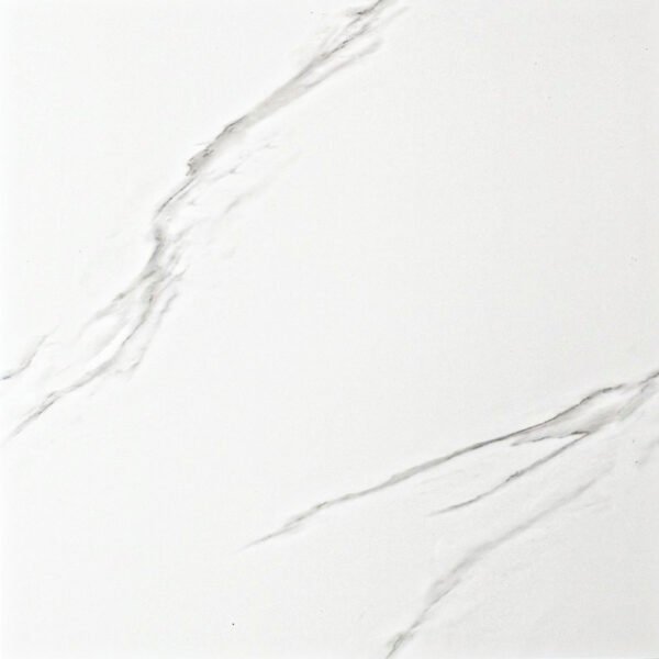 PORCELANATO 60X60 VITRIFICADO LPY66010 PCL  CAJA 1.44 - Imagen 2