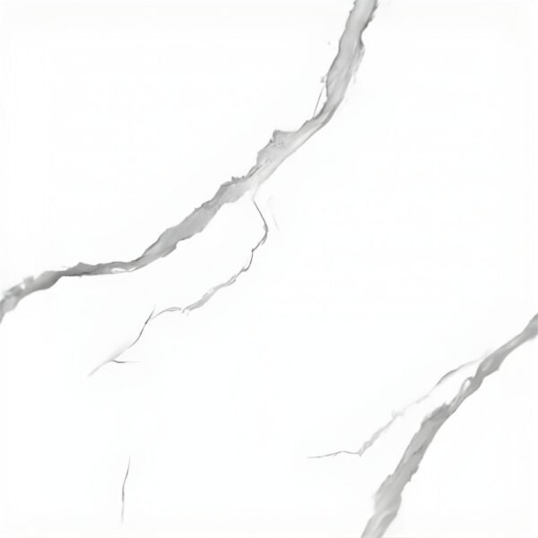 PORCELANATO PPY66010 60X60CM PCL CJ 1.44M2 - Imagen 2