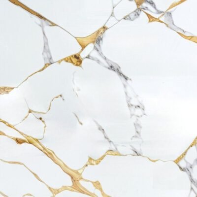 PORCELANATO VITRI GOLDEX 60X60 LPY66076 PCL CJ 1.44m2